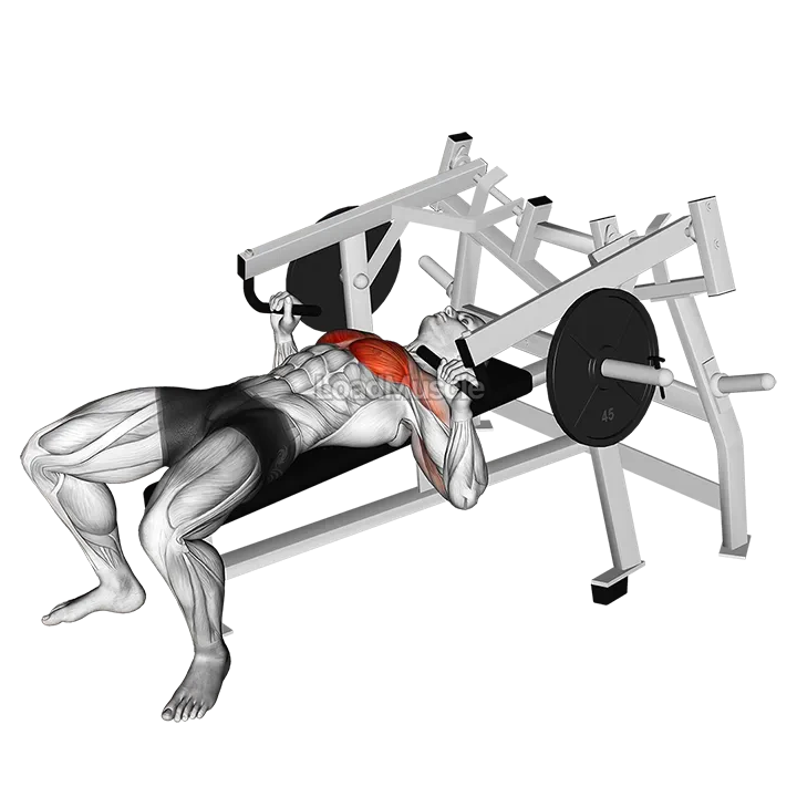 Lever Lying Chest Press (plate loaded) demonstration