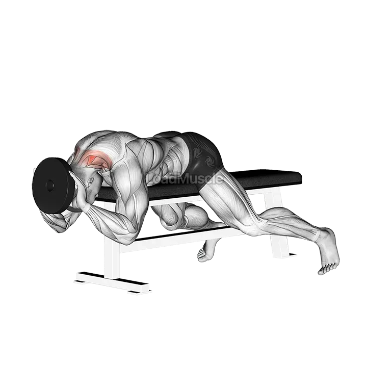 Weighted Lying Neck Extension demonstration