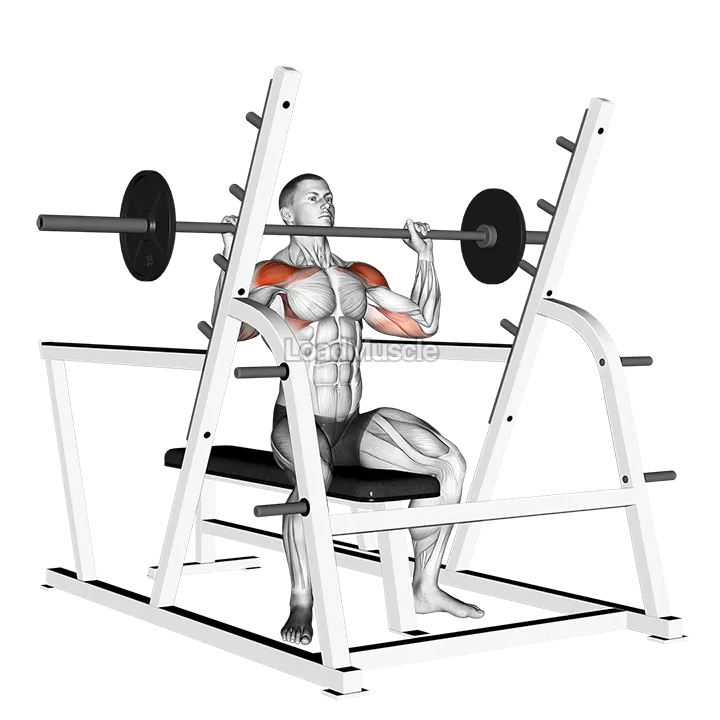 Barbell Seated Military Press (inside squat cage) demonstration