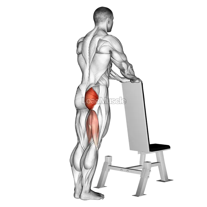 One leg kickback (with bench support) demonstration