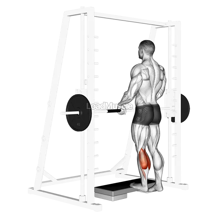 Smith Calf Raise (with block) demonstration