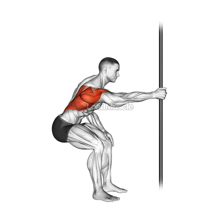 Fixed Bar Back Stretch demonstration