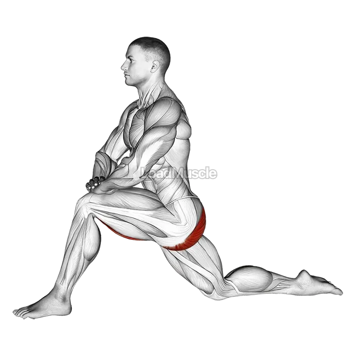 Kneeling Hip Flexor Stretch demonstration