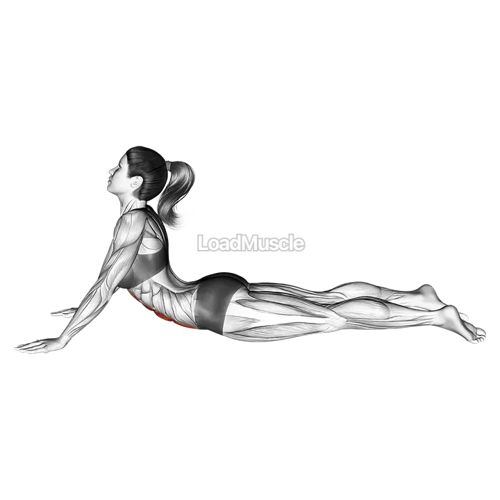 Lying (prone) Abdominal Stretch demonstration
