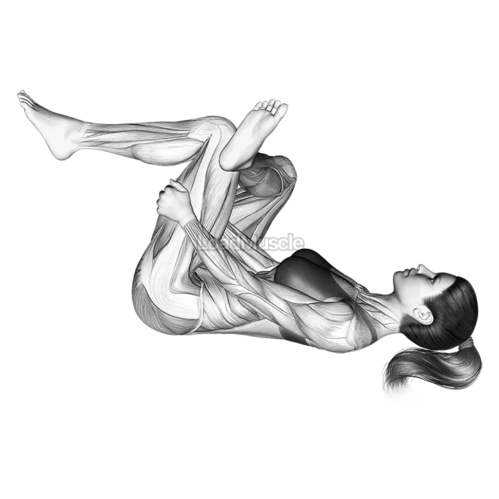 Lying Glute Stretch demonstration