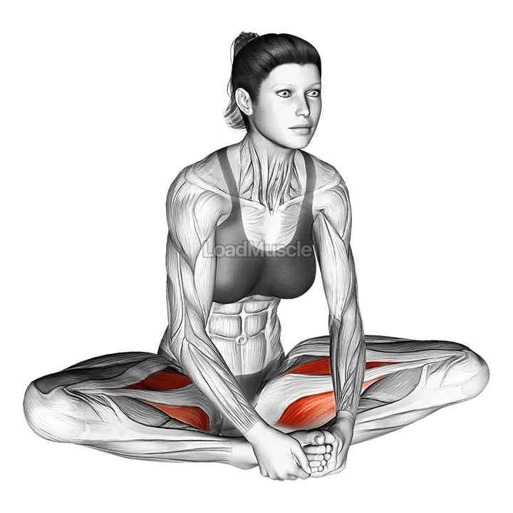 Seated Groin Stretch demonstration
