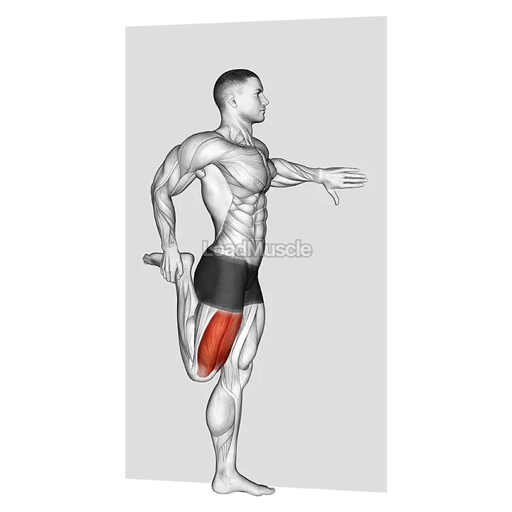 Standing Quadriceps Stretch demonstration
