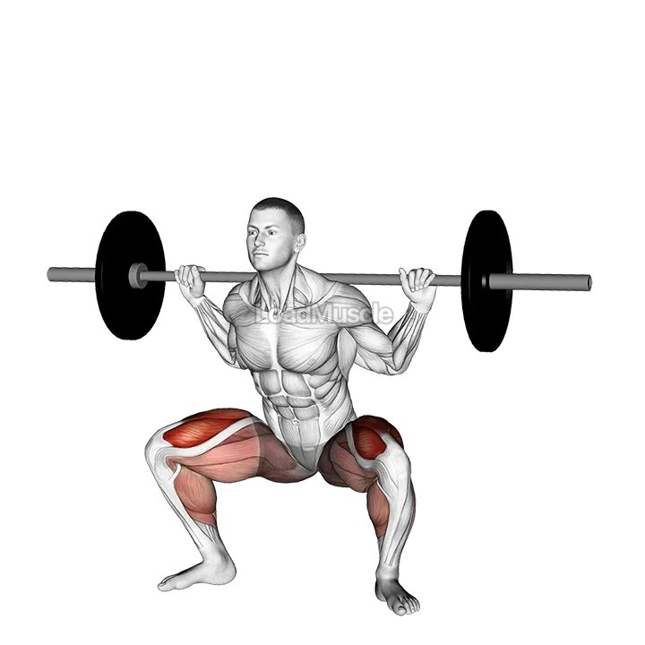Barbell sumo squat demonstration