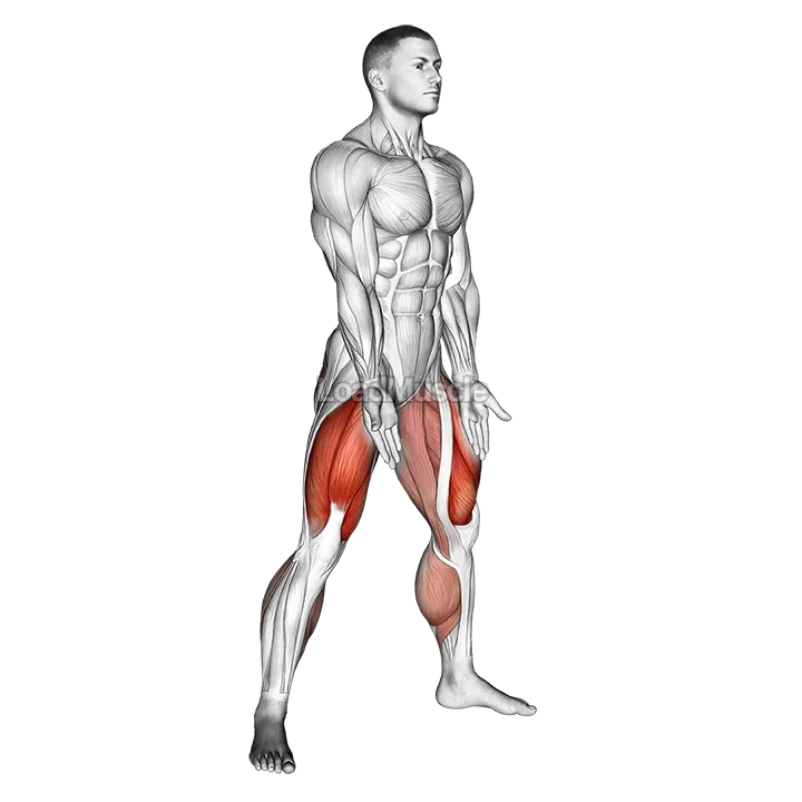 Sumo Squat m demonstration