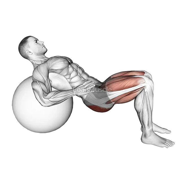 Lying Hip Lift (on stability ball) demonstration