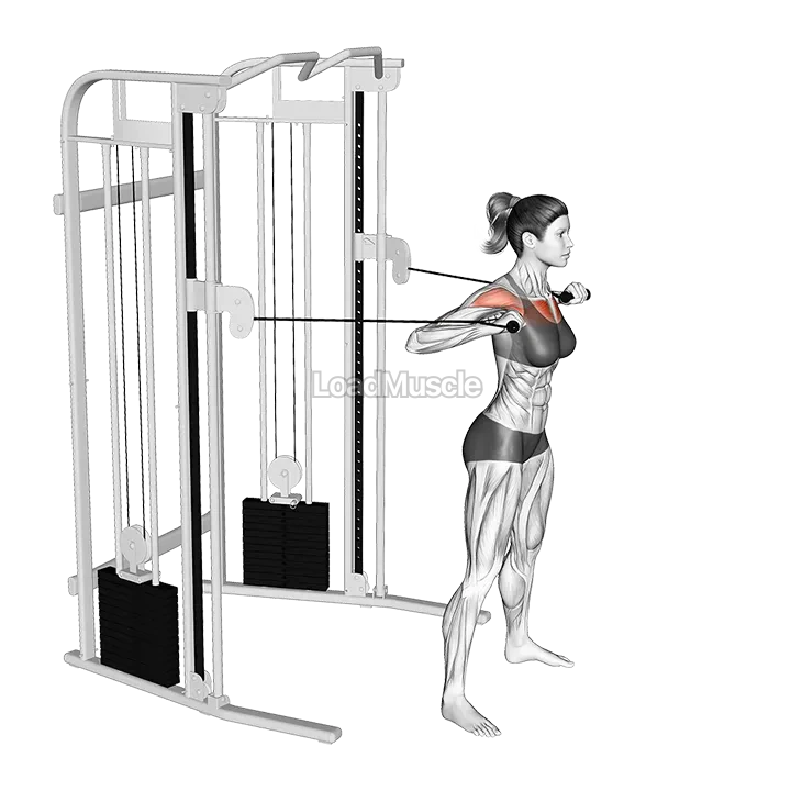Cable Standing Chest Press demonstration