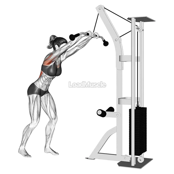 Cable straight arm pulldown demonstration