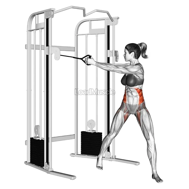 Cable twist demonstration