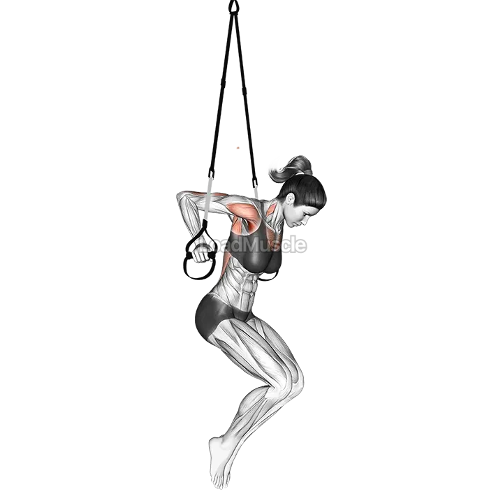 Suspender Chest Dip demonstration