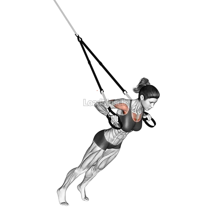 Suspender Chest Press demonstration