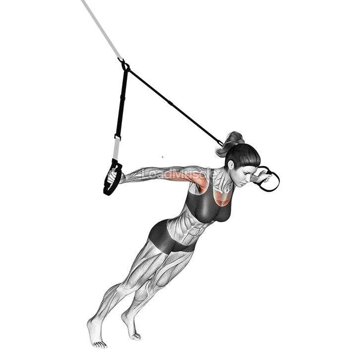 Suspender Fly demonstration