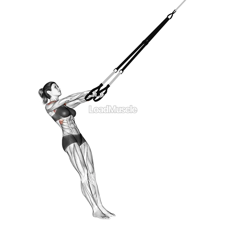 Suspender Front Raise demonstration