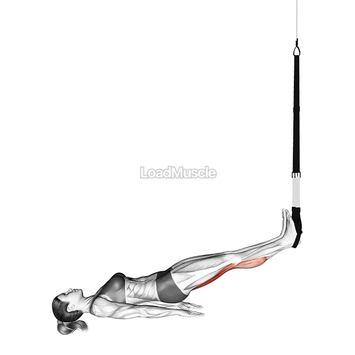 Suspender Hamstring Runner demonstration