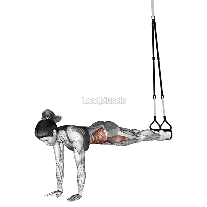 Suspender Jack knife Pike demonstration