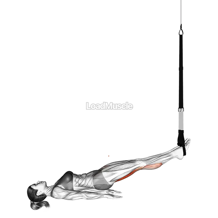 Suspender Leg Curl demonstration