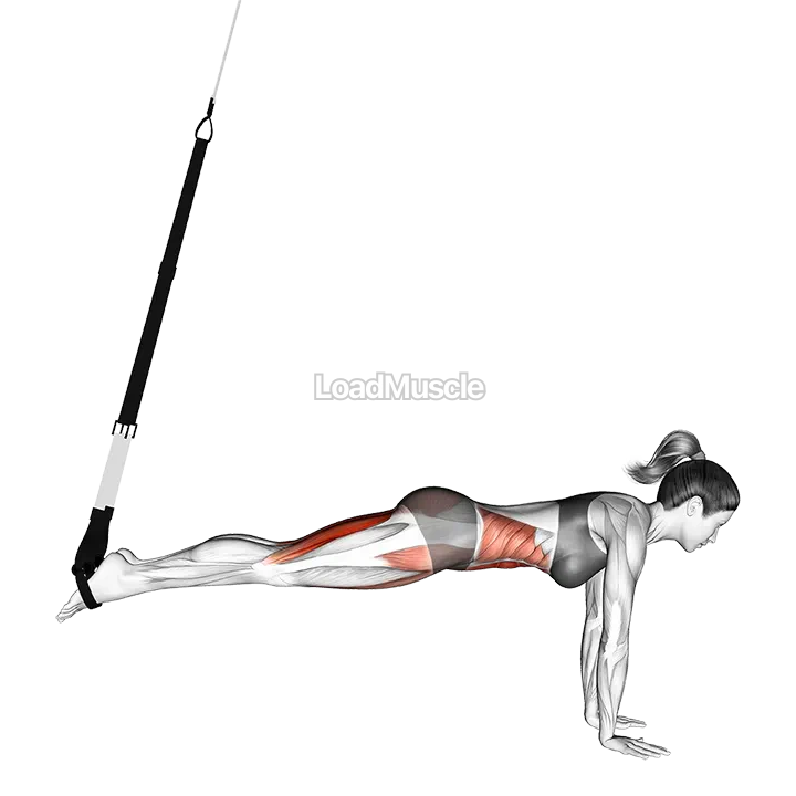 Suspender Mountain Climber demonstration