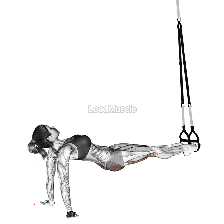 Suspender Pull Through demonstration