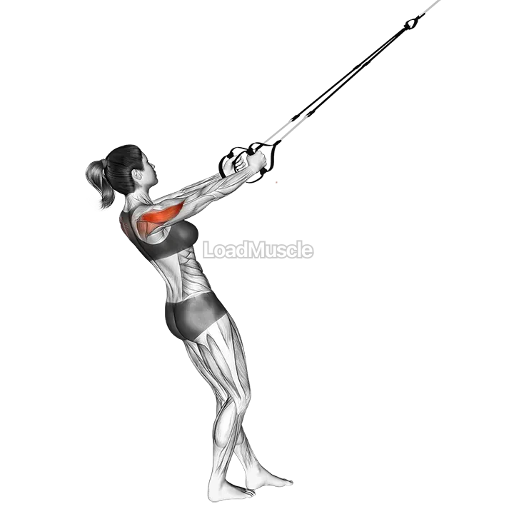 Suspender Reverse Fly demonstration