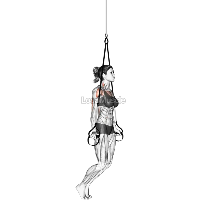 Suspender Self assisted Triceps Dip demonstration