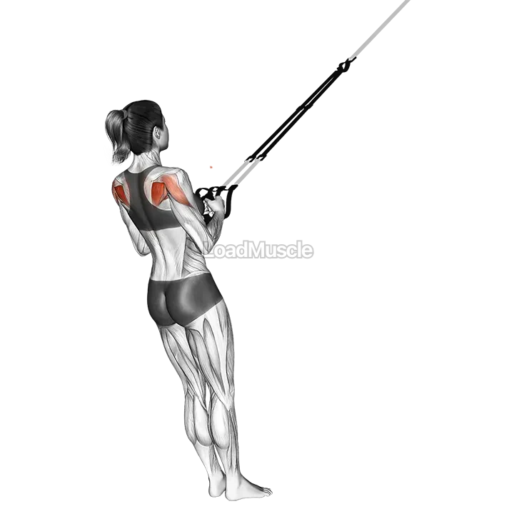 Suspender Shoulder External Rotation demonstration