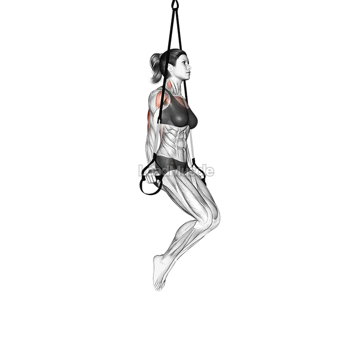 Suspender Triceps Dip demonstration