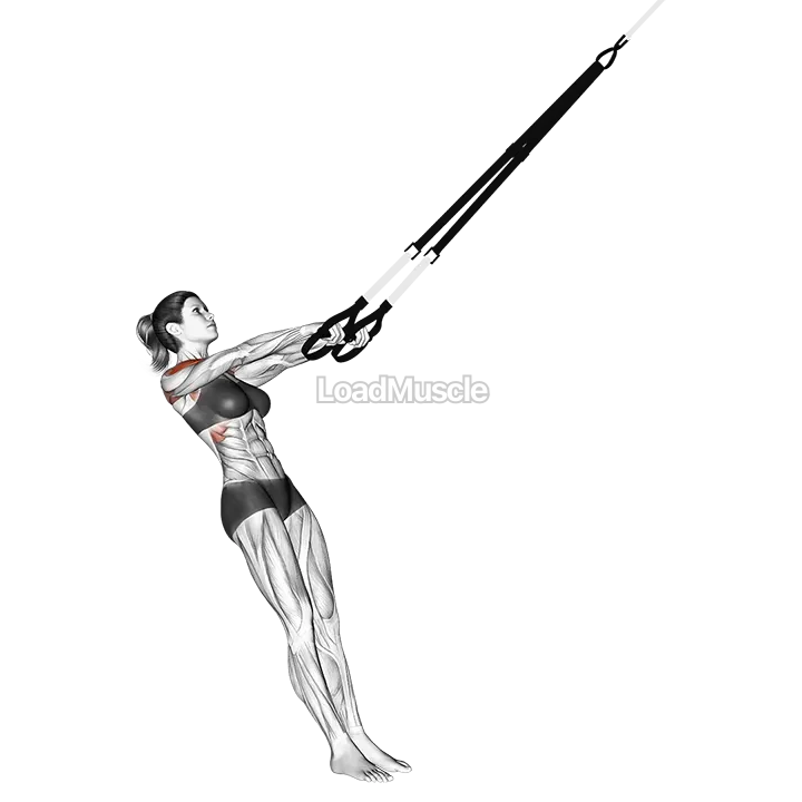 Suspender Y Lateral Raise demonstration