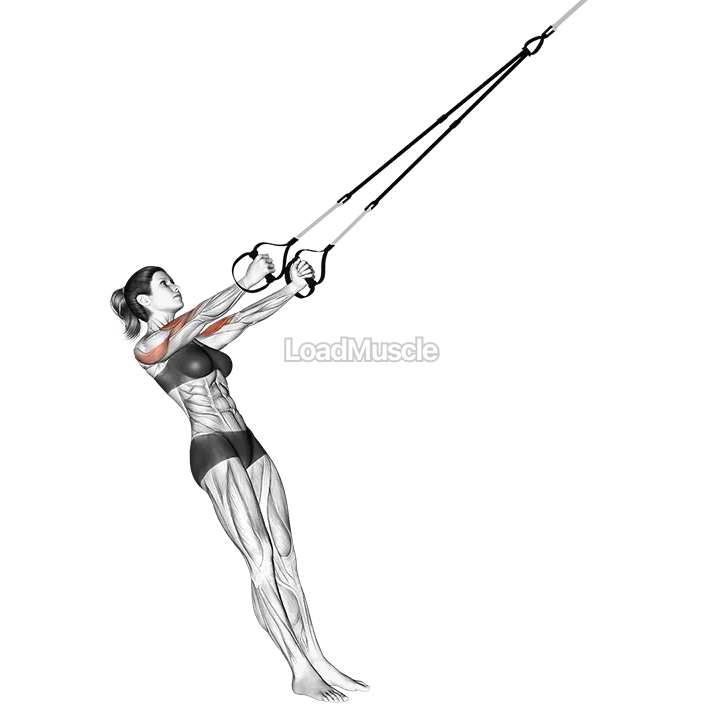 Suspender Biceps Clutch demonstration