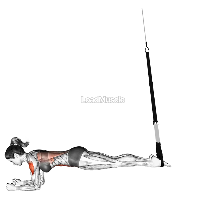 Suspender Body Saw demonstration