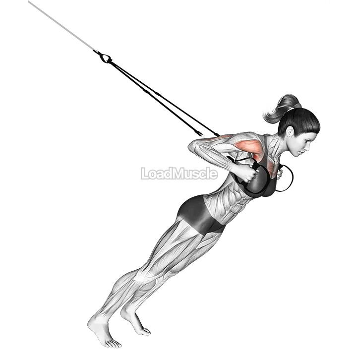 Suspender Close grip Chest Press demonstration