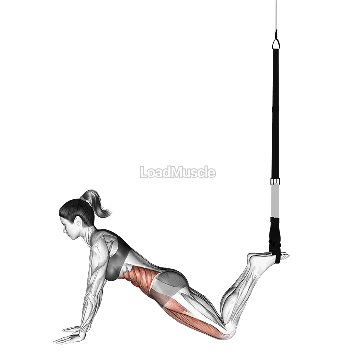 Suspender Front Plank demonstration