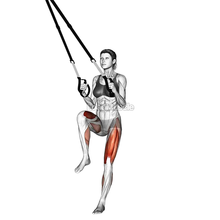 Suspender Lunge Back Crossover demonstration