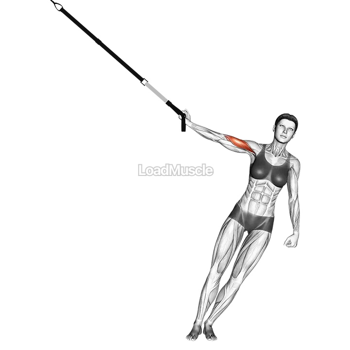 Suspender One Arm Biceps Curl demonstration