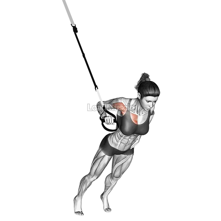 Suspender One Arm Chest Press demonstration