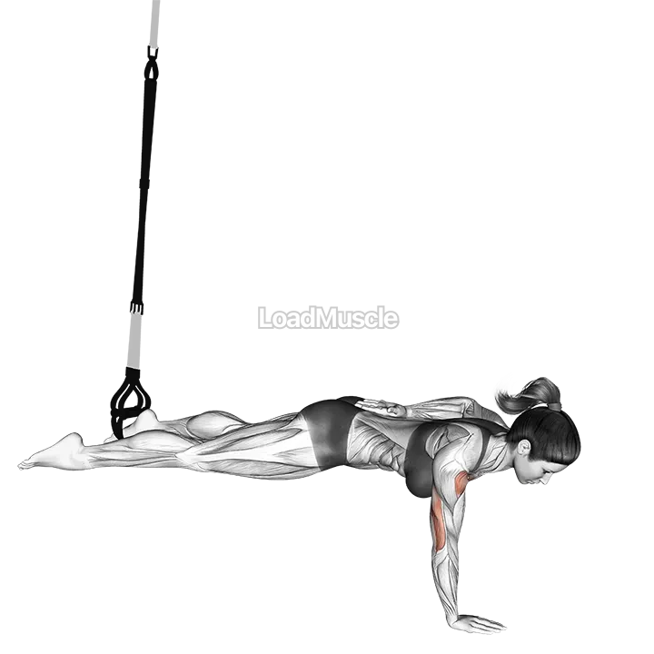 Suspender One Arm Leg Push up demonstration