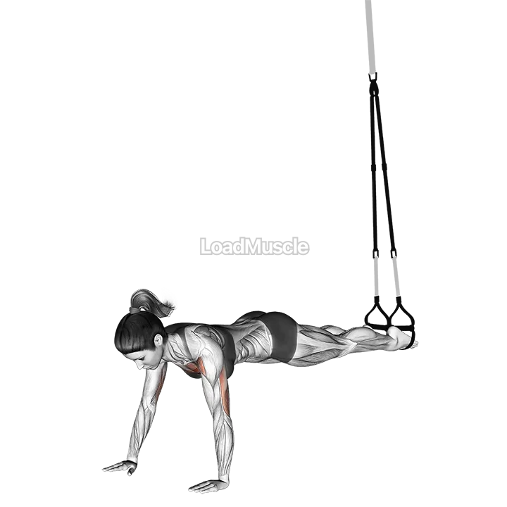 Suspender Push up demonstration