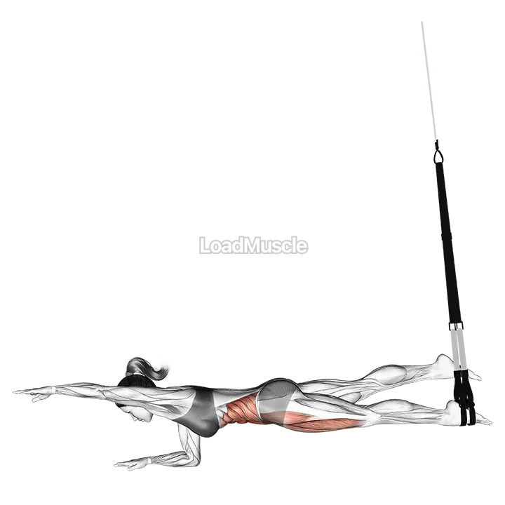 Suspender Single Leg Plank (straight arm) demonstration