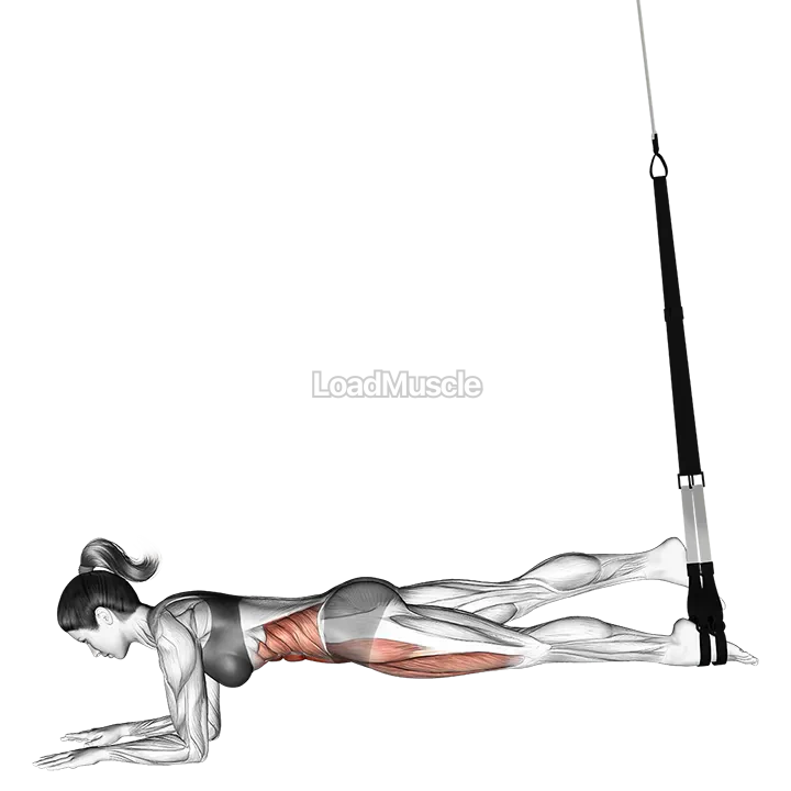 Suspender Single Leg Plank demonstration