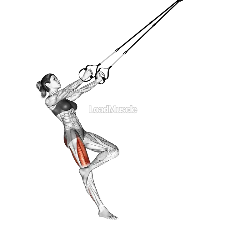Suspender Single Leg Squat (figure) demonstration