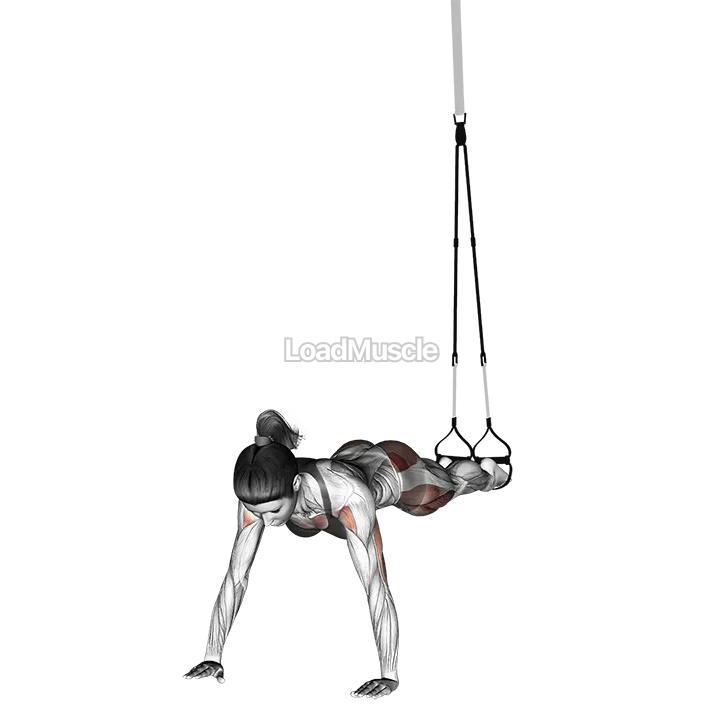 Suspender Spiderman Push up demonstration