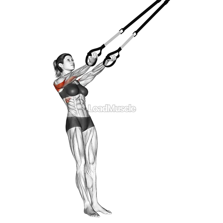 Suspender Split Fly demonstration