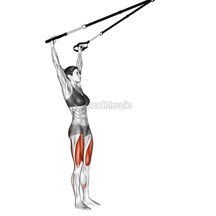 Suspender Squat (Arms Overhead) demonstration