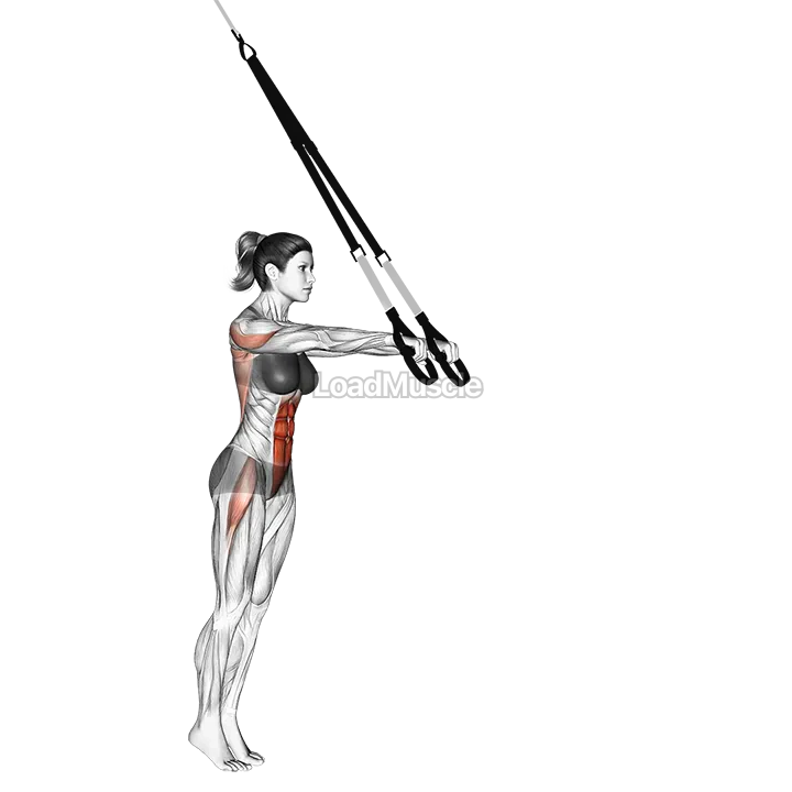 Suspender Standing Ab Rollout demonstration