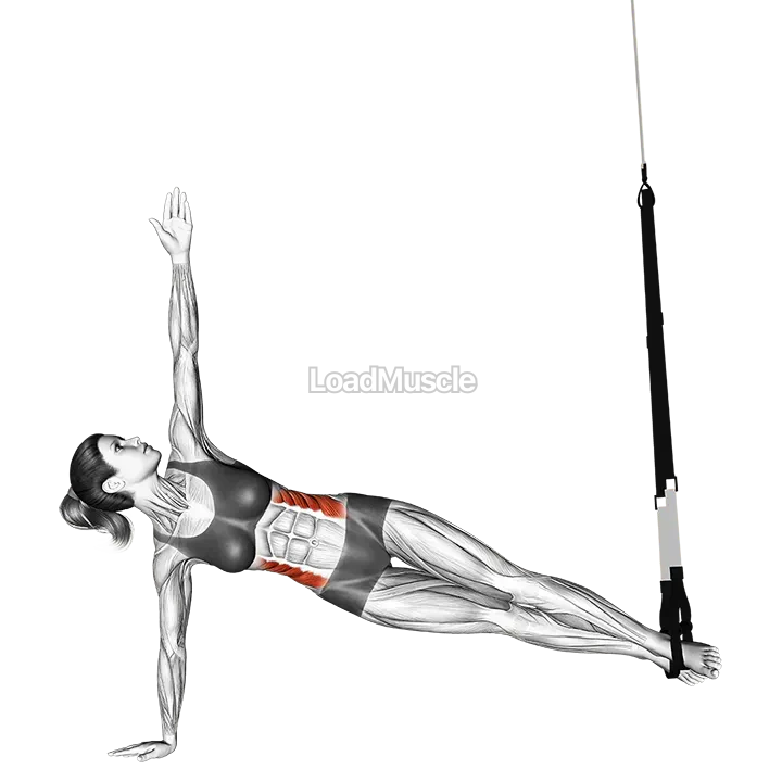 Suspender Star Plank demonstration