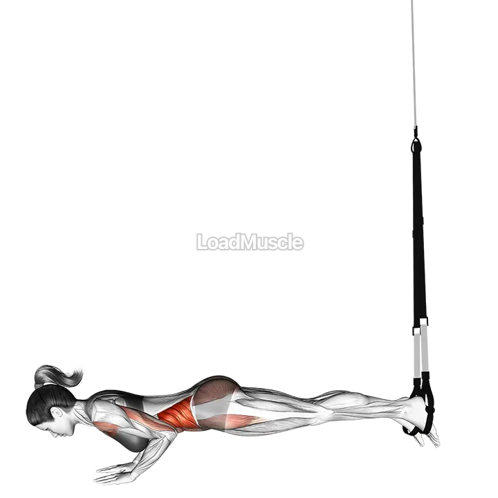 Suspender Star Push up demonstration