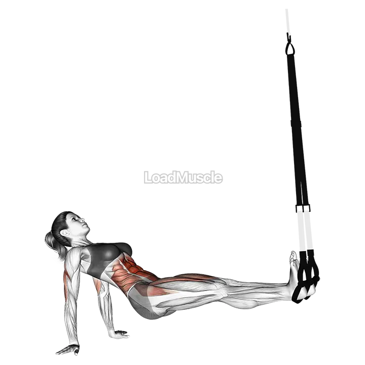 Suspender Supine Crunch demonstration